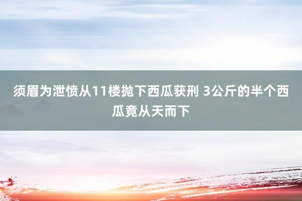 须眉为泄愤从11楼抛下西瓜获刑 3公斤的半个西瓜竟从天而下