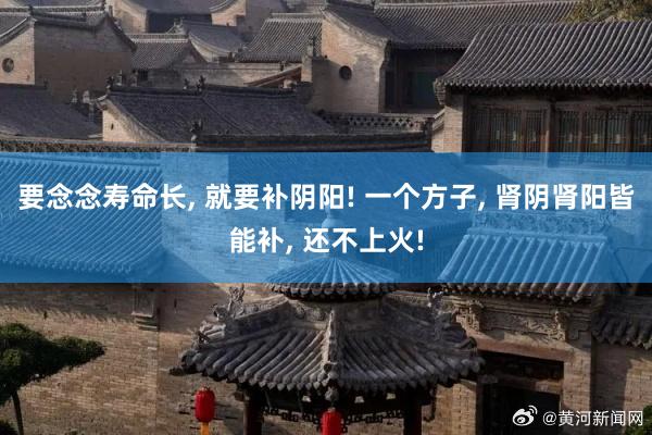 要念念寿命长, 就要补阴阳! 一个方子, 肾阴肾阳皆能补, 还不上火!