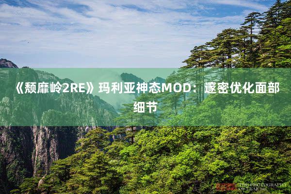 《颓靡岭2RE》玛利亚神态MOD：邃密优化面部细节