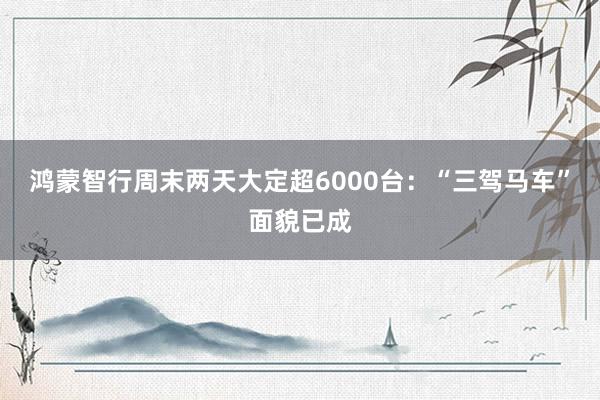 鸿蒙智行周末两天大定超6000台：“三驾马车”面貌已成